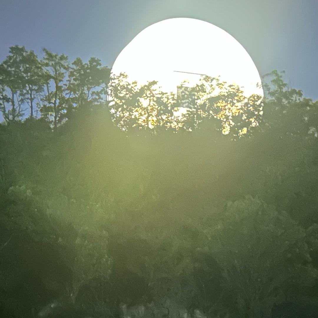 湘辣河子