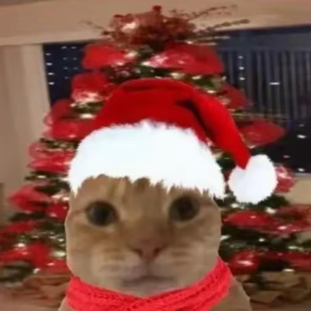 噗噗的私藏小屋。