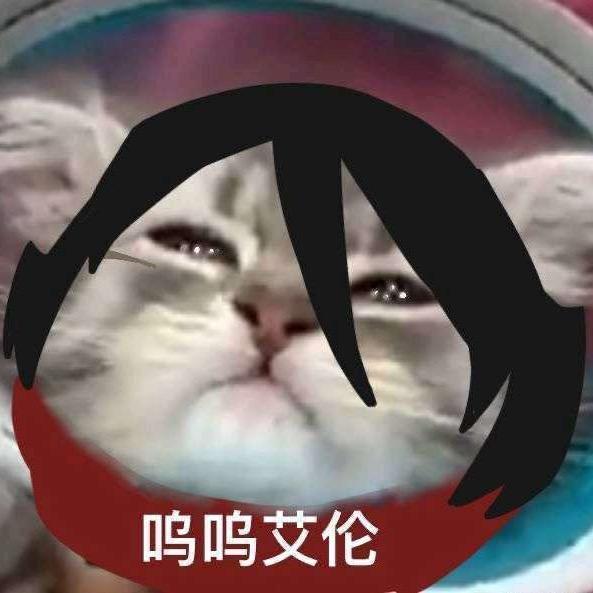 我不会做饭