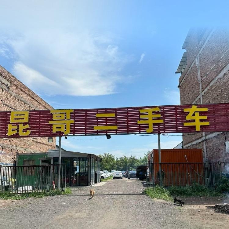 昆哥二手车 金子