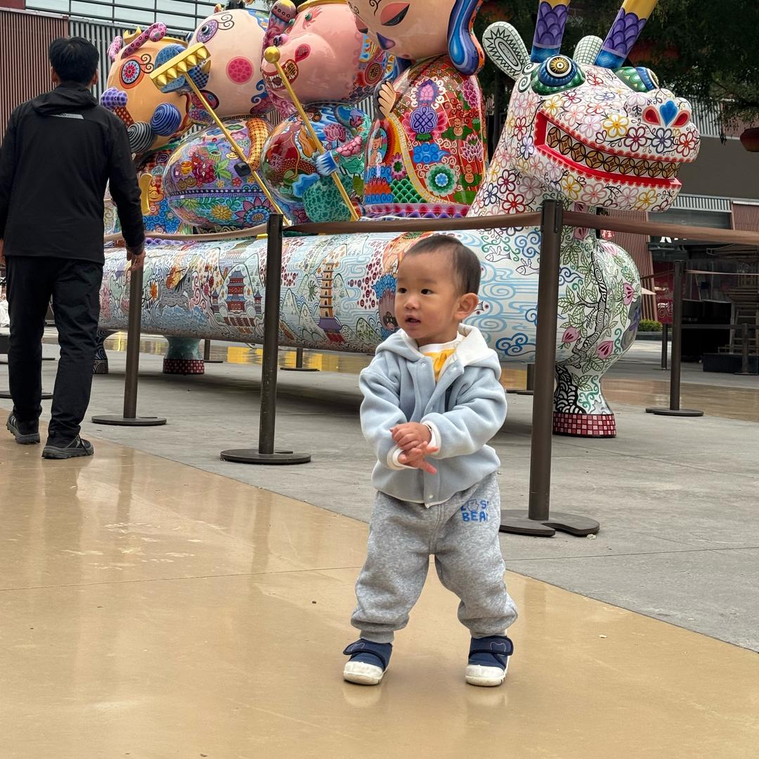燕子来了