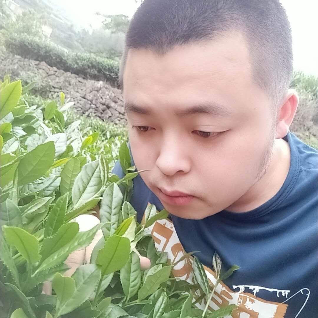 莲春茶业