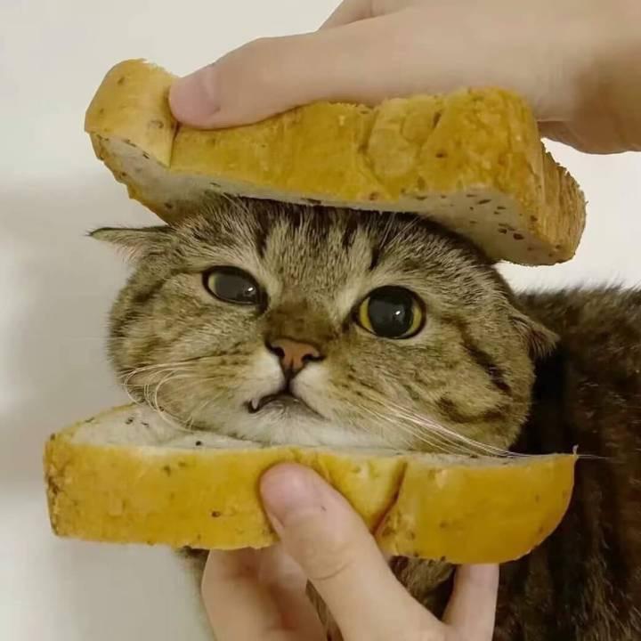 大彤