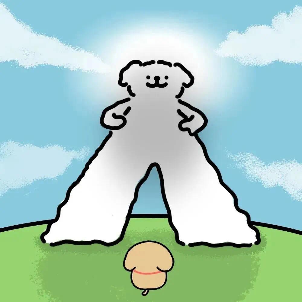 qiuq