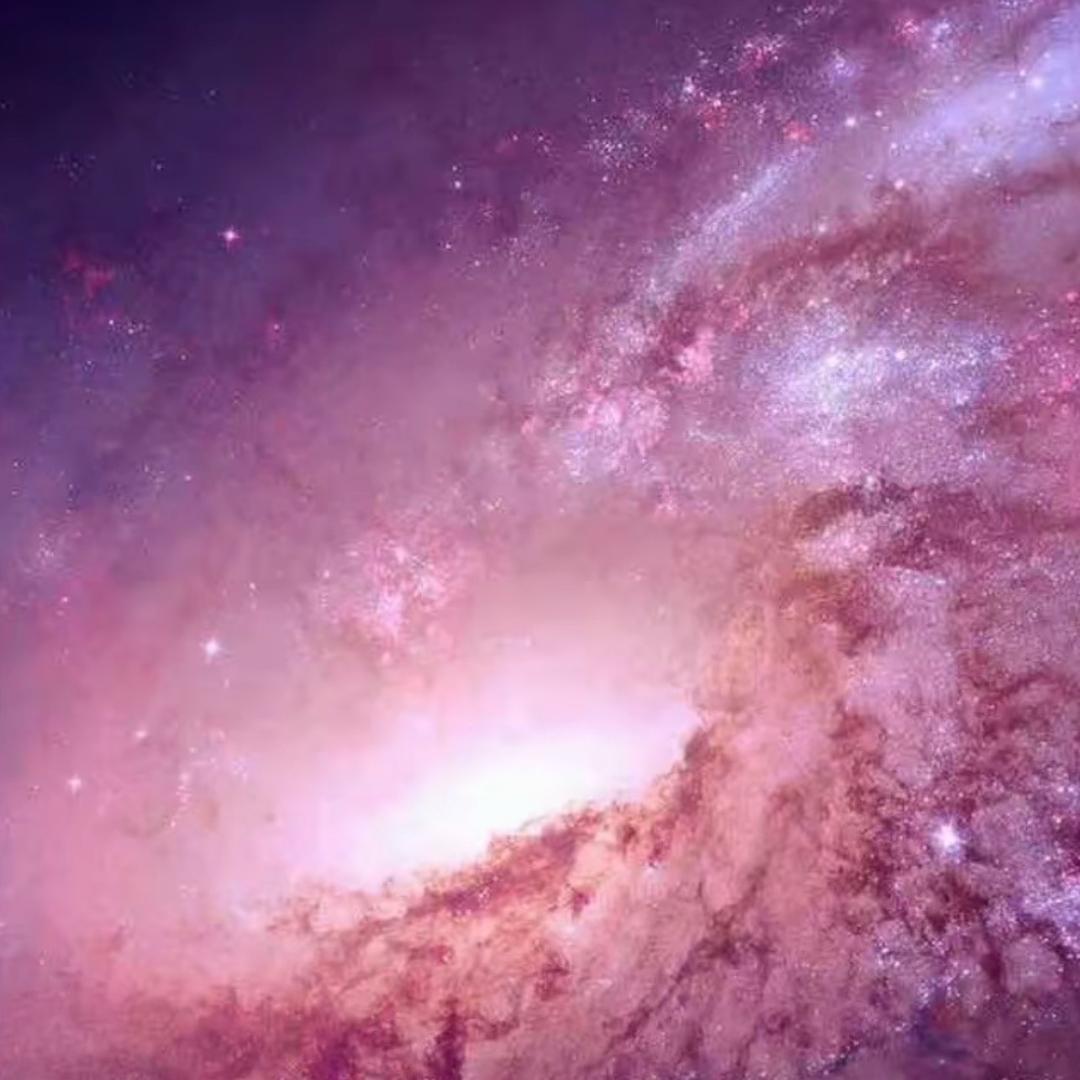 𓆡 德安𝗗 𓆝𓆟𓆜