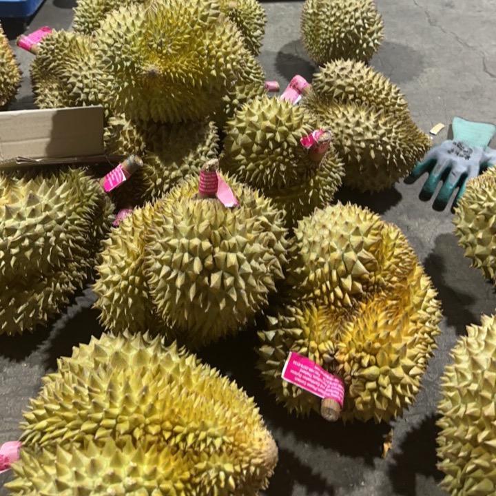 般果集采(长春南仓)