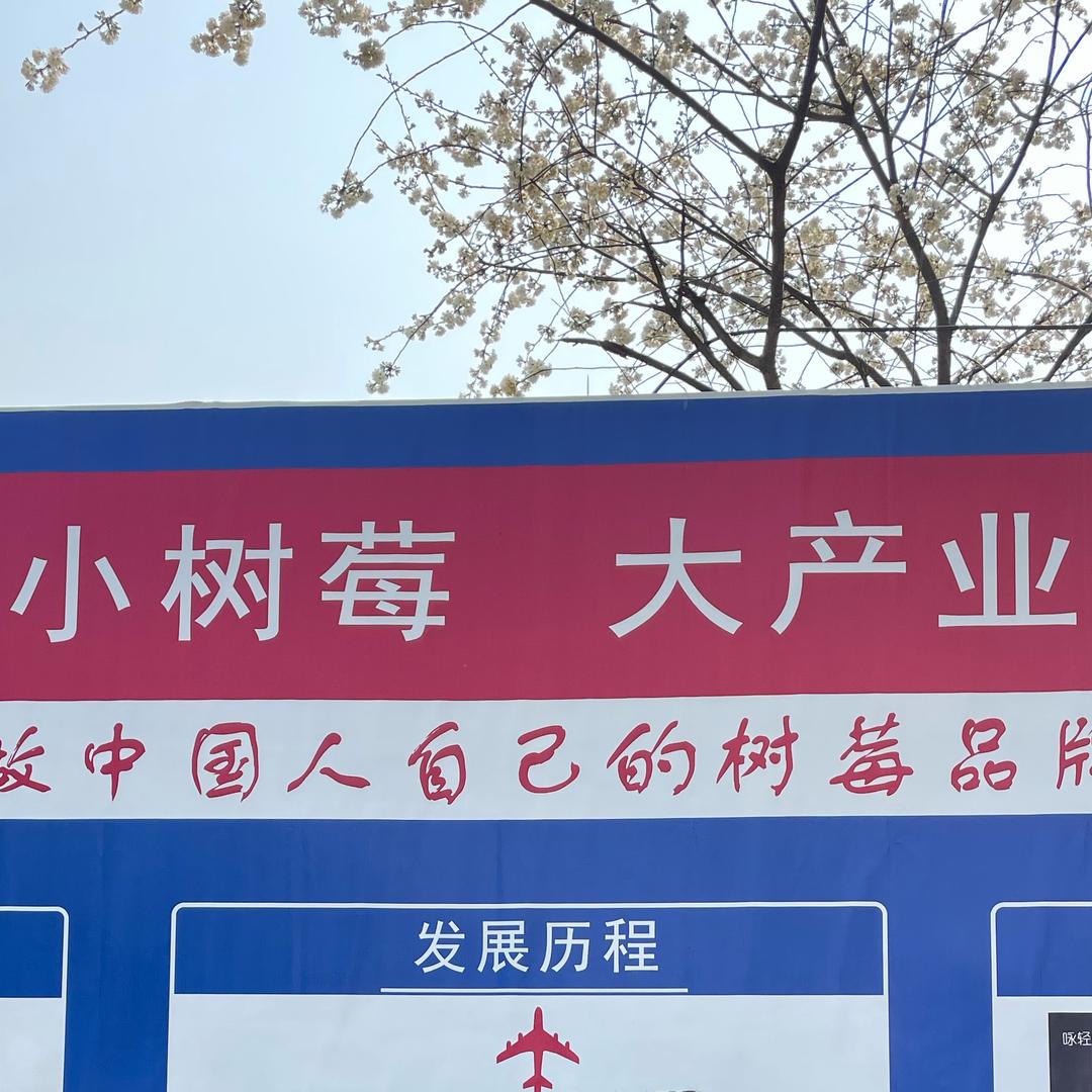 云南树莓种苗源头直供