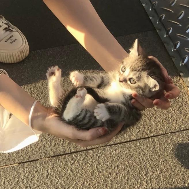 Dobby哆比