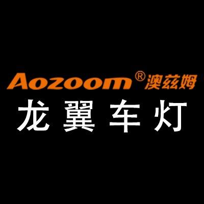 Aozoom澳兹姆形象店 | 龙翼车灯