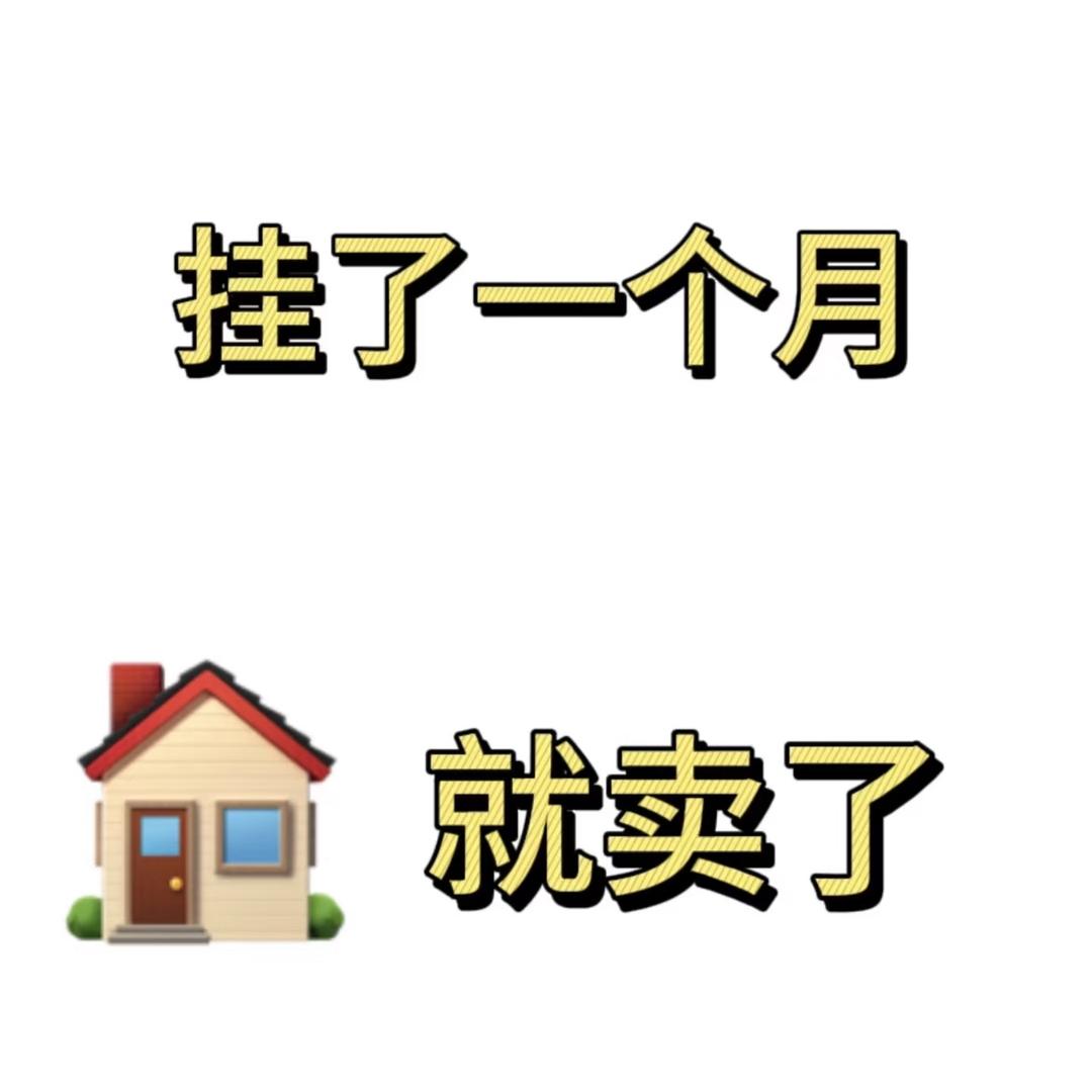 阿里银杏小鲁
