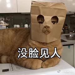 花花爱看热闹