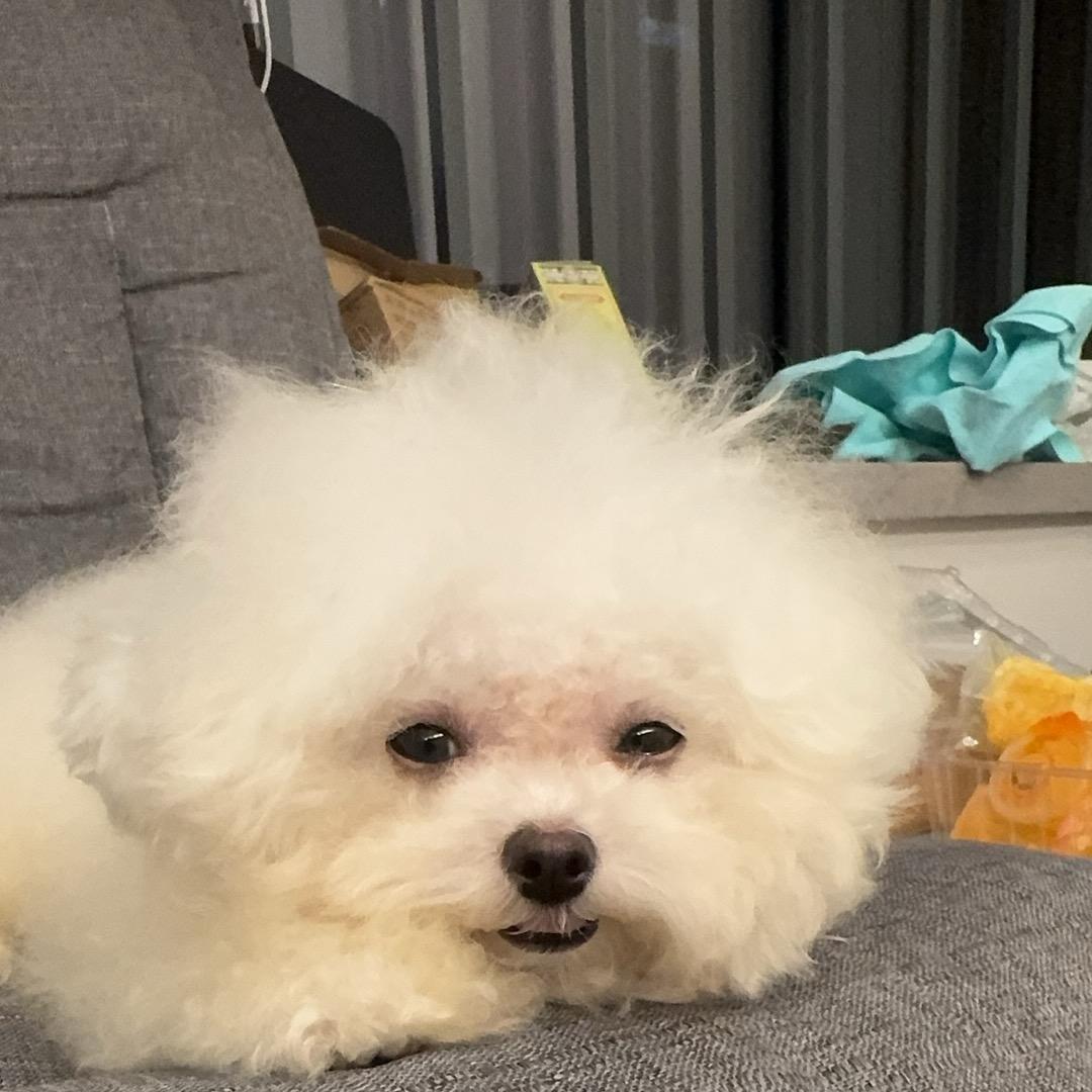 鱼鱼鱼🐠