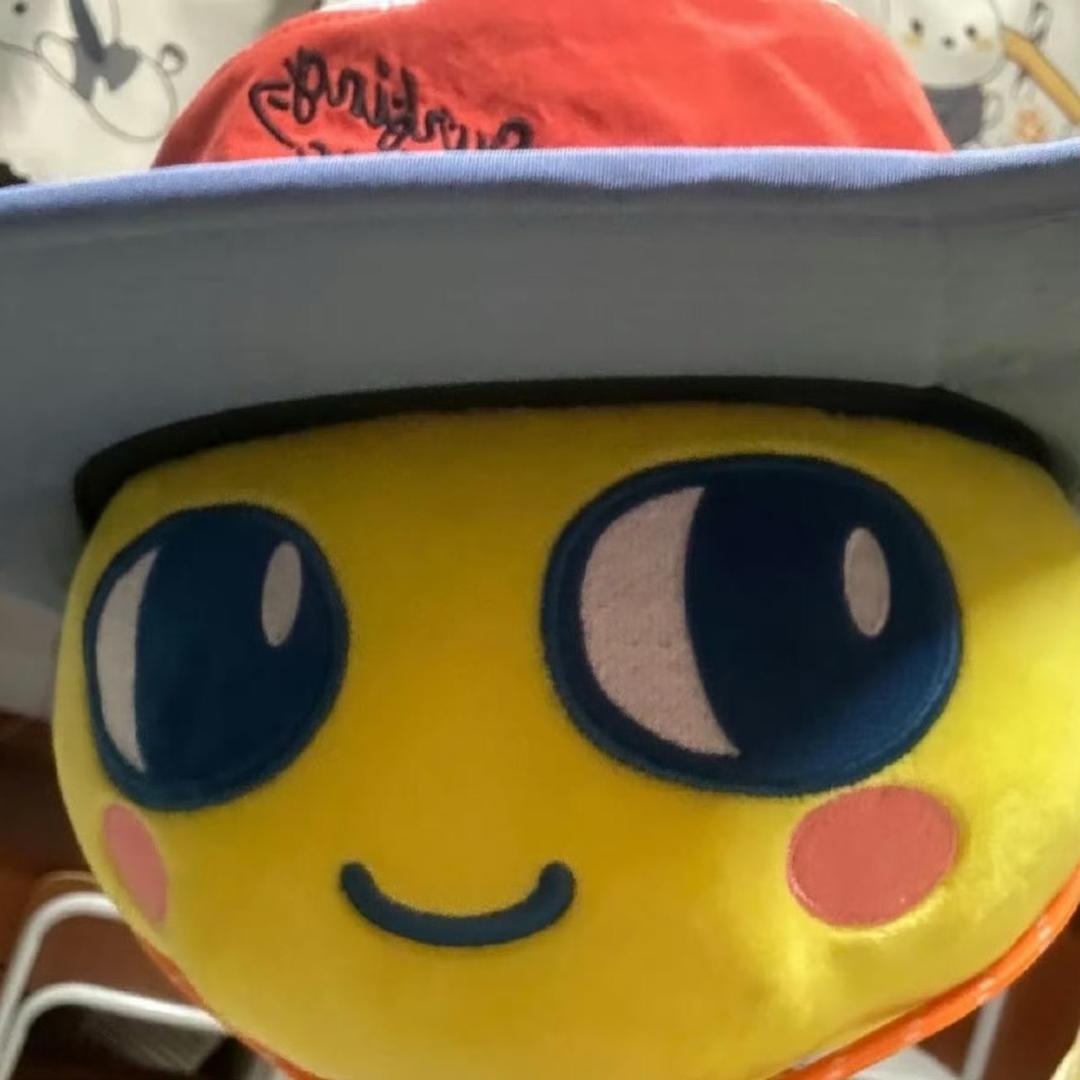 我不知道叫什么了