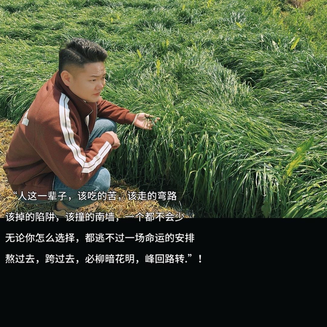 人生半熟。。