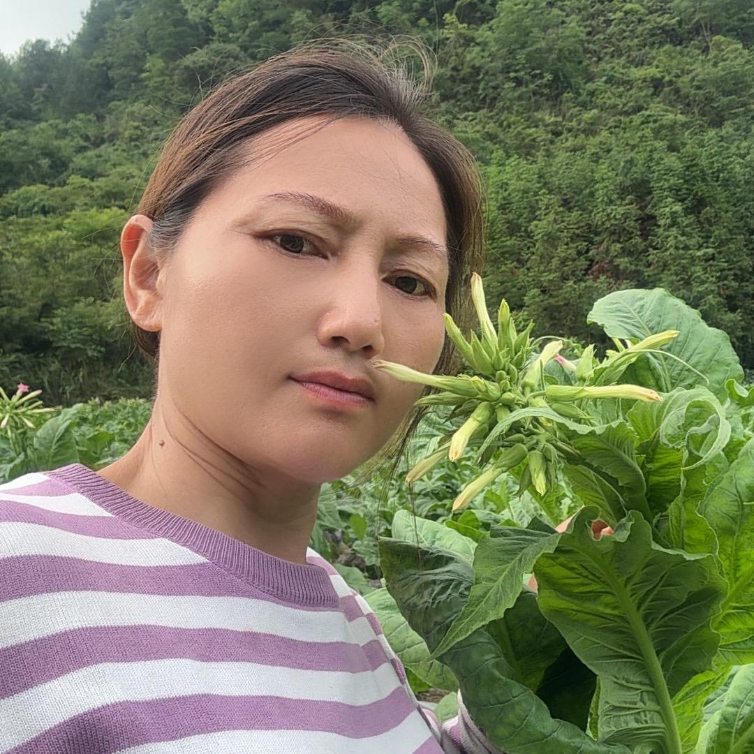 红姐在农村