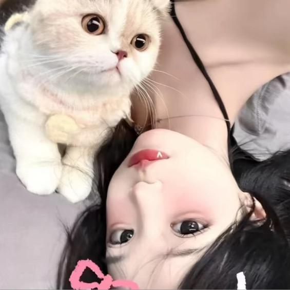 秋宝.