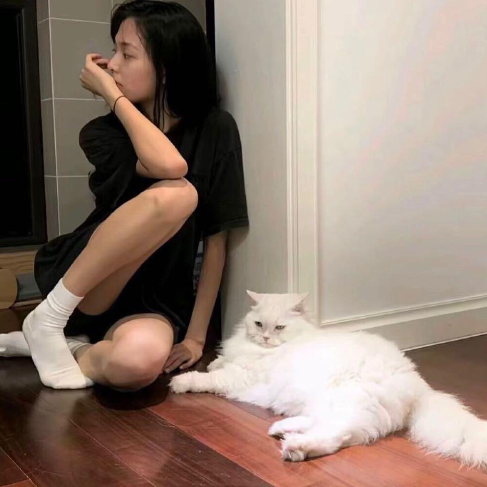 冷少