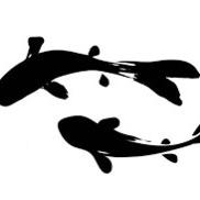 缘溪渔双溪口小队