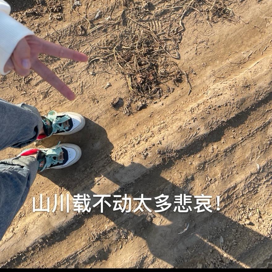 樟