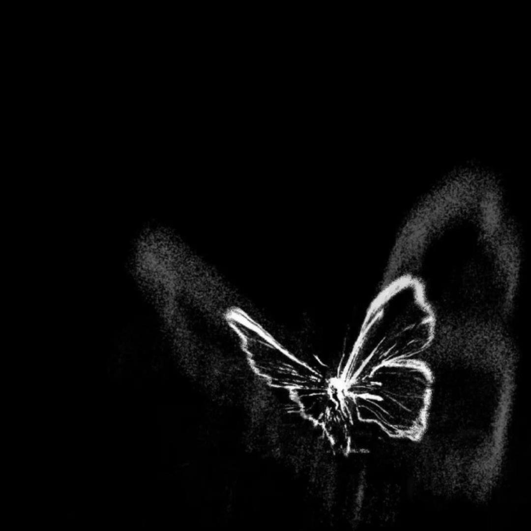 ❤️LX的小仙女