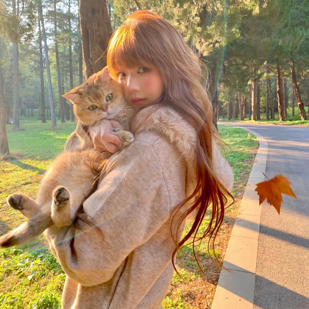 悲伤玉米排骨汤