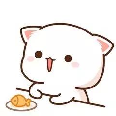 冷暖自知🍀