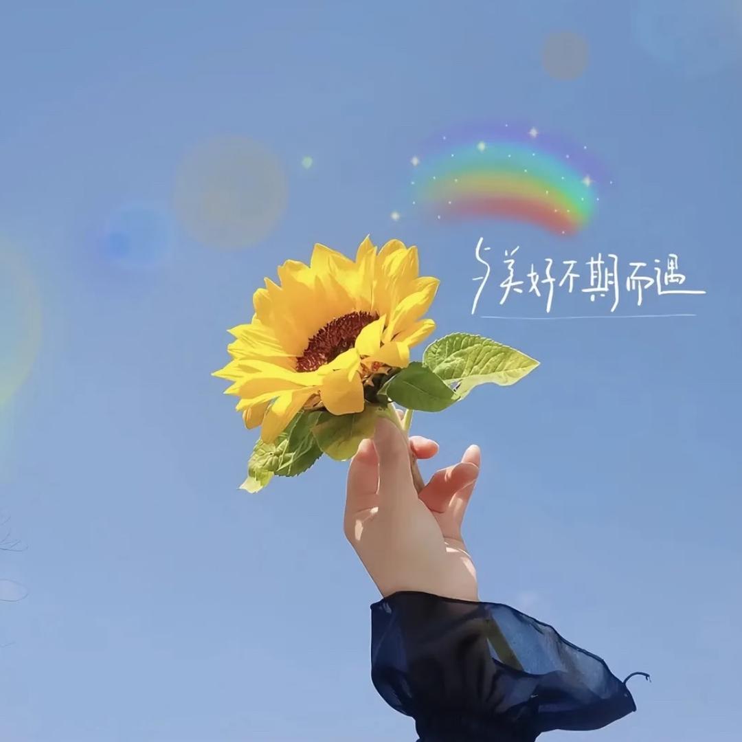 （常青藤）蓉蓉优品