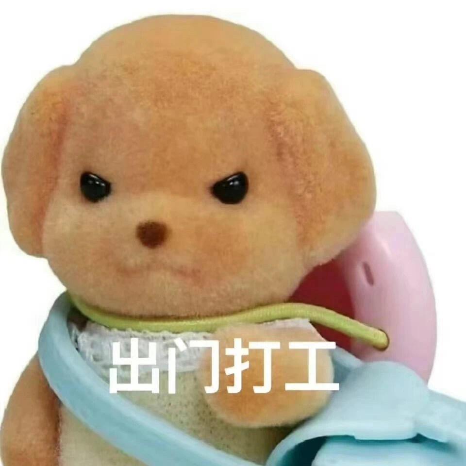 不知名美女