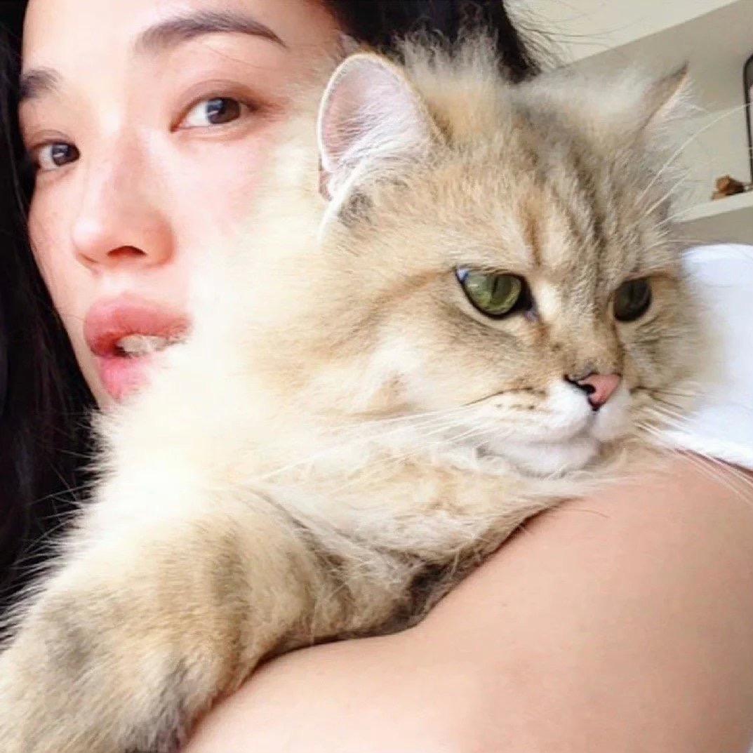 摘一口袋星星✨