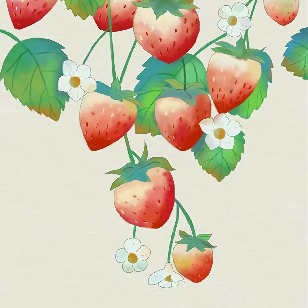 爱画画的董小姐