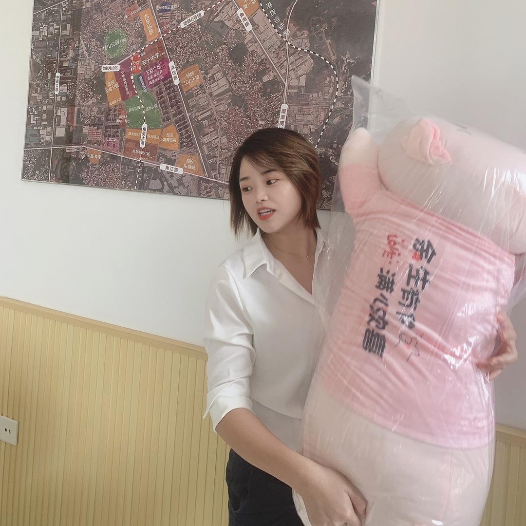 探房小杨房产