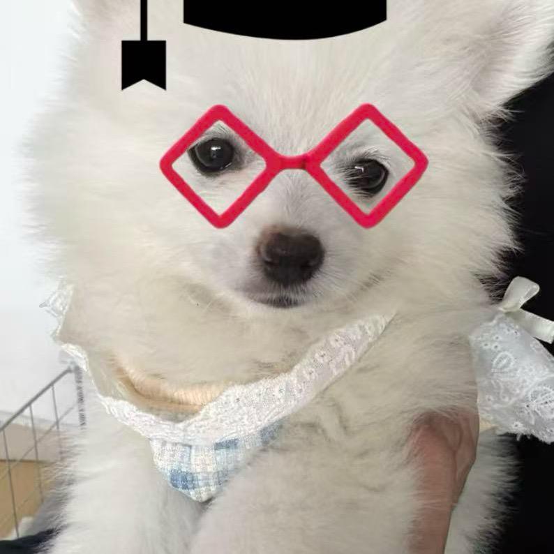 小杨学长