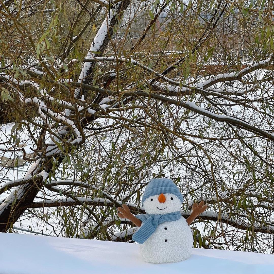 天一   ❄️和雪有个约定❄️❄️