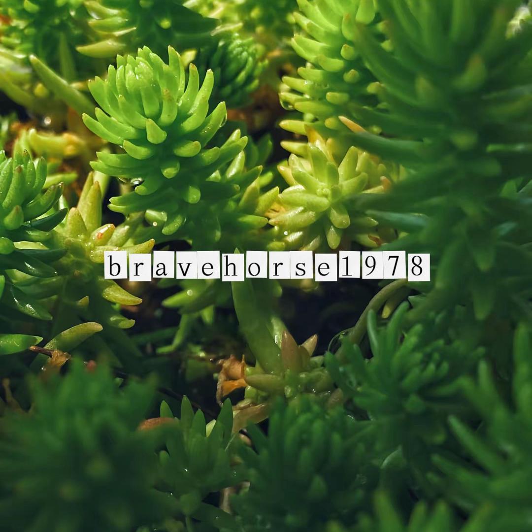 大吉（大连旅拍摄影师）