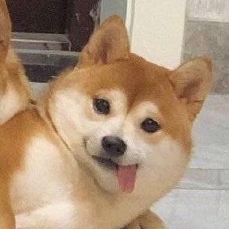 小荔枝的小核桃🍒