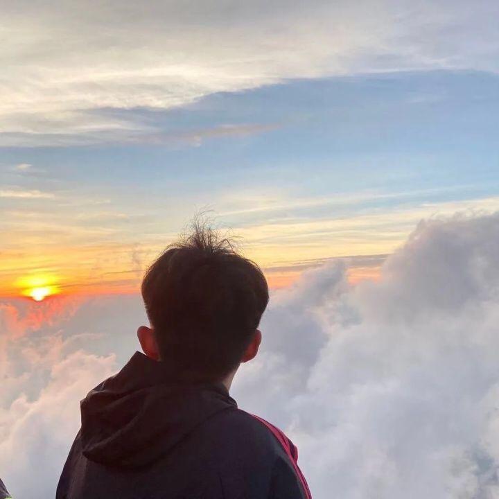 飞鹰