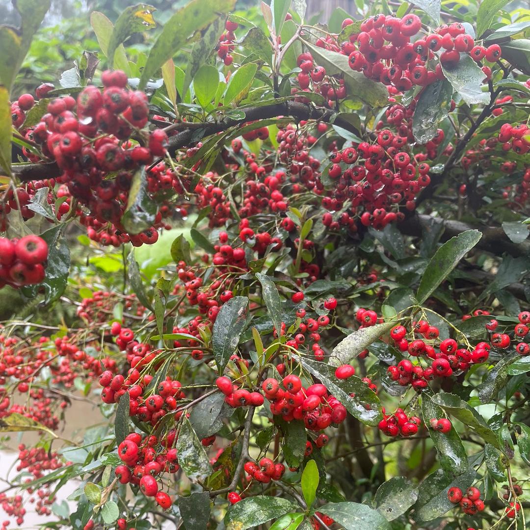 对方正在输入……