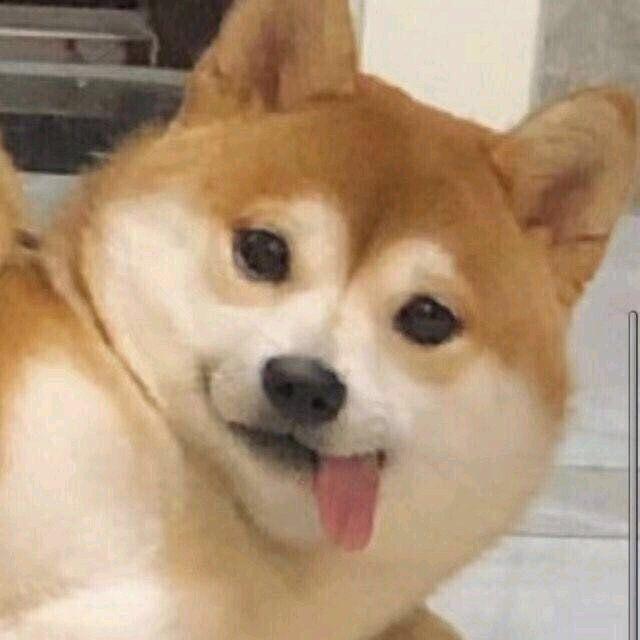 柴糕糕(冲20w粉)