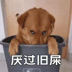 葬雨