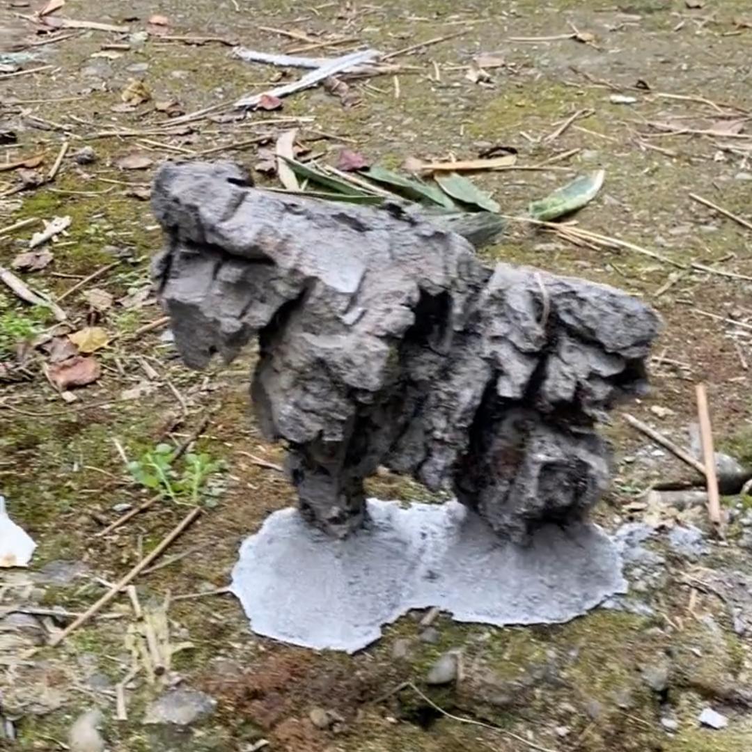 木森附石