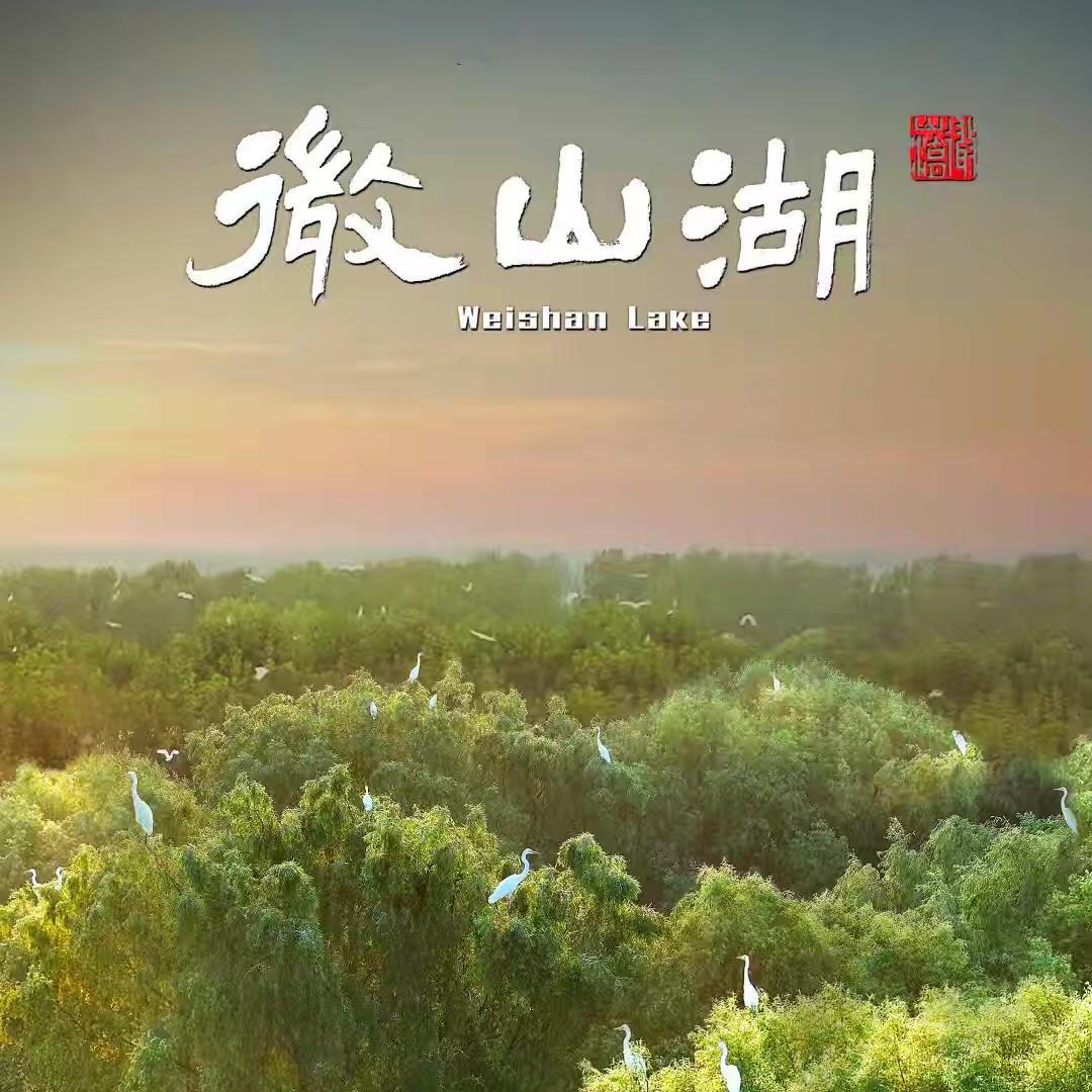 鲜蔬荷园蔬果场