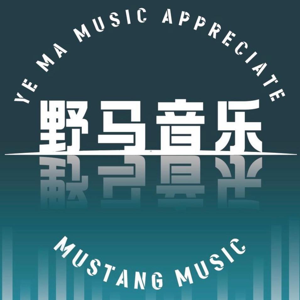野马音乐(车载U盘)