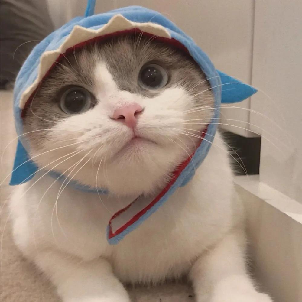 恒飞电商