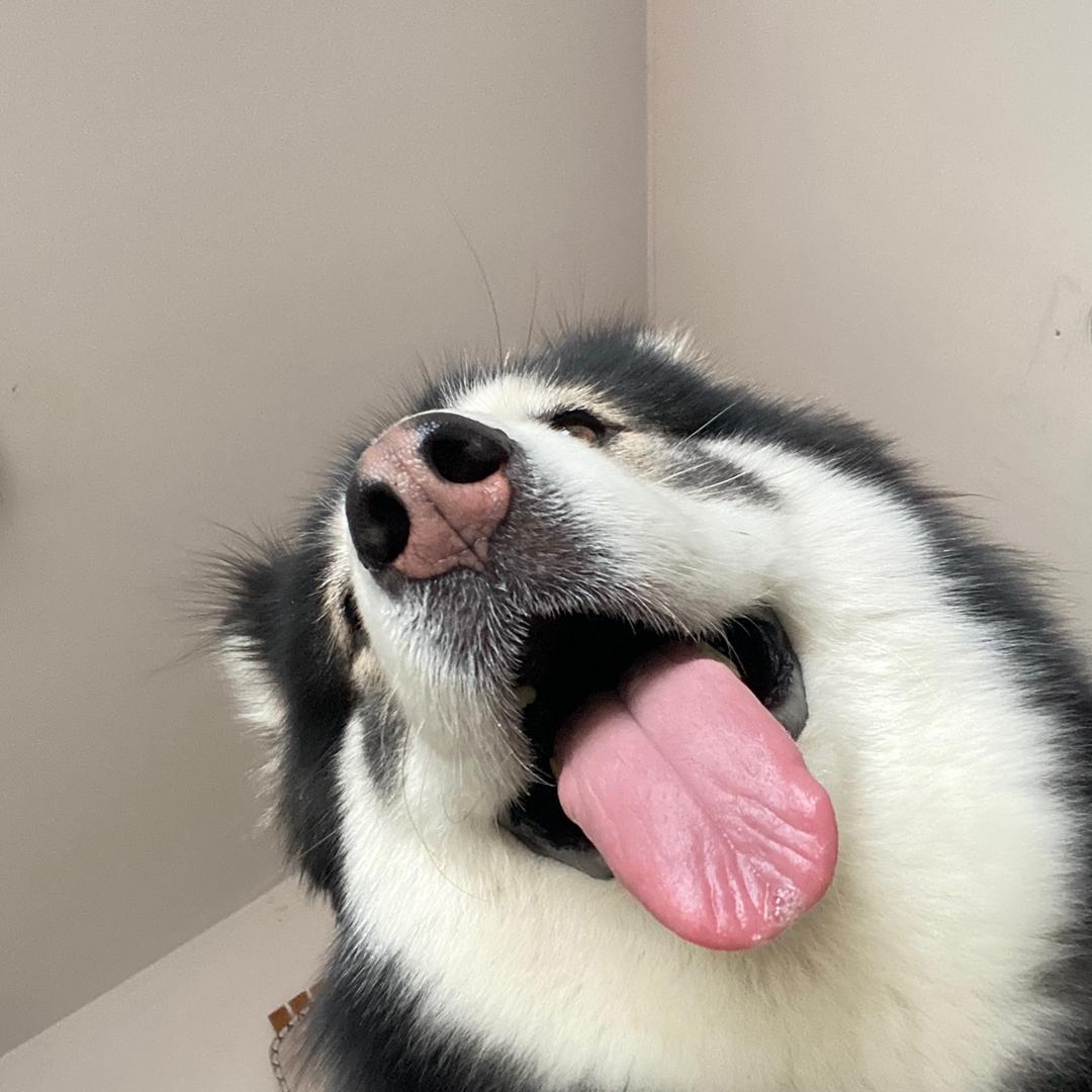 悠悠是个大宝贝