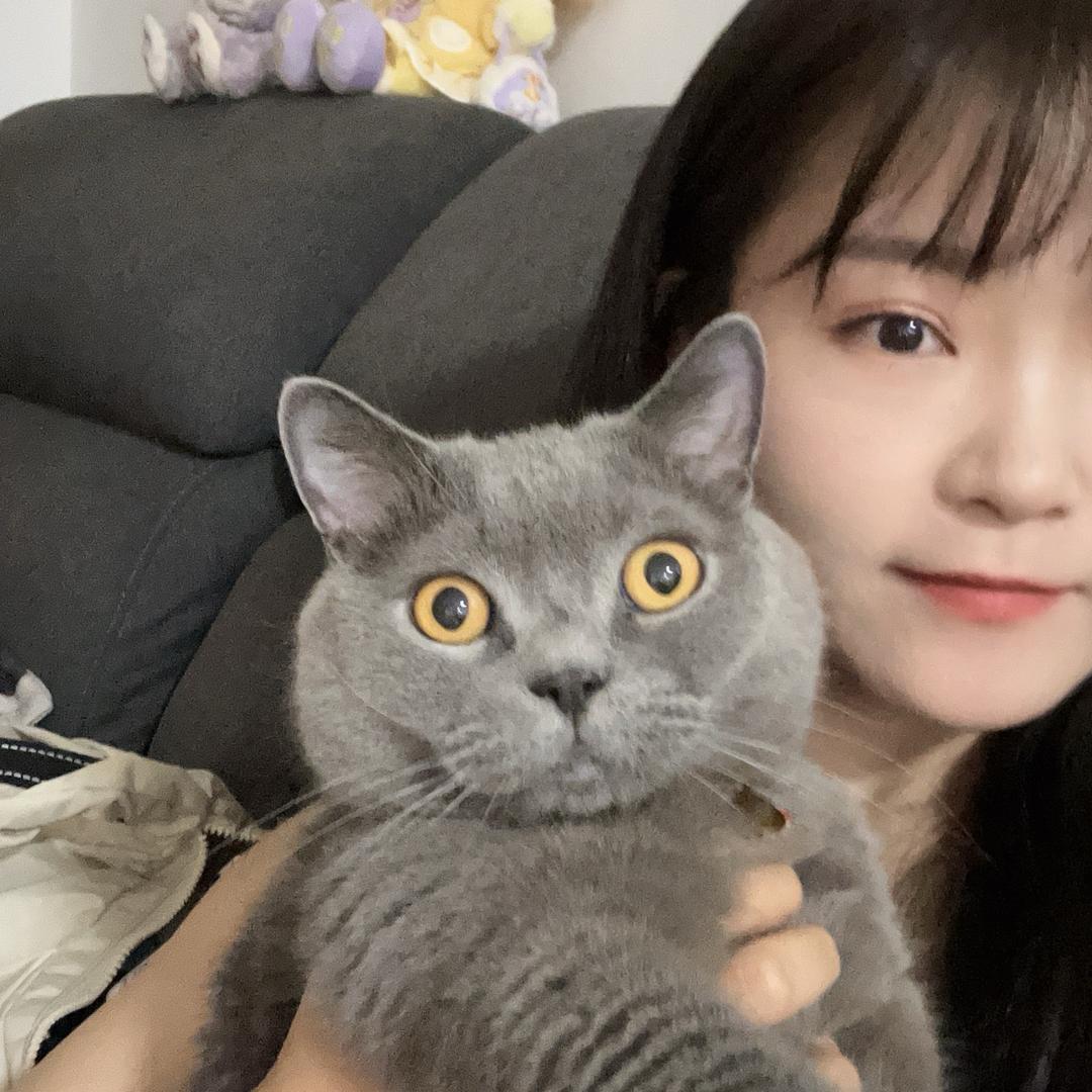 滚滚圆滚滚