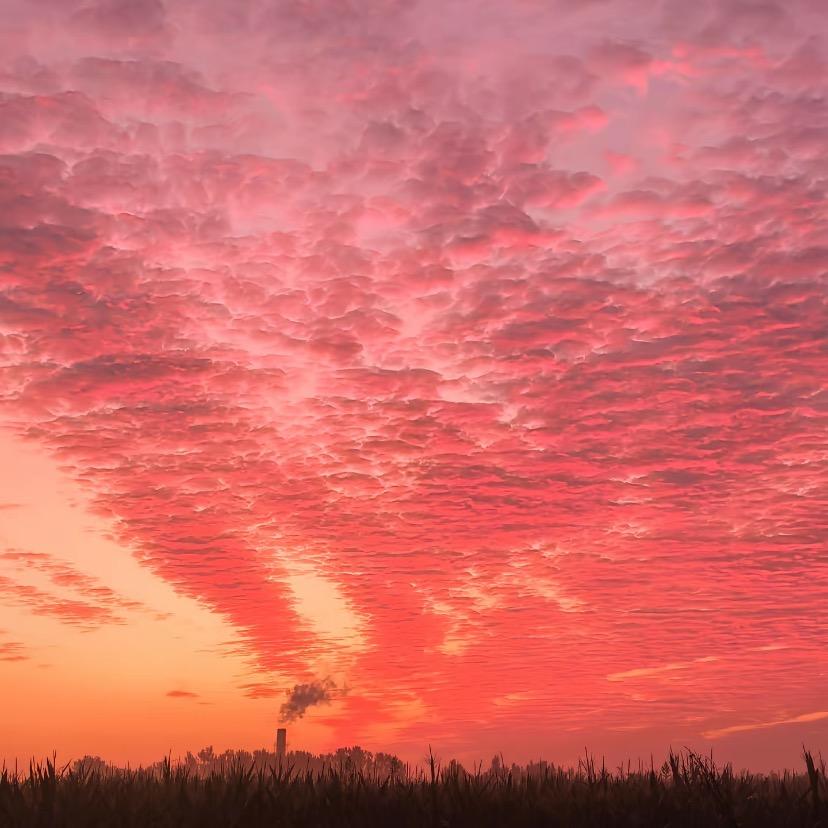 老一中便利店营运号
