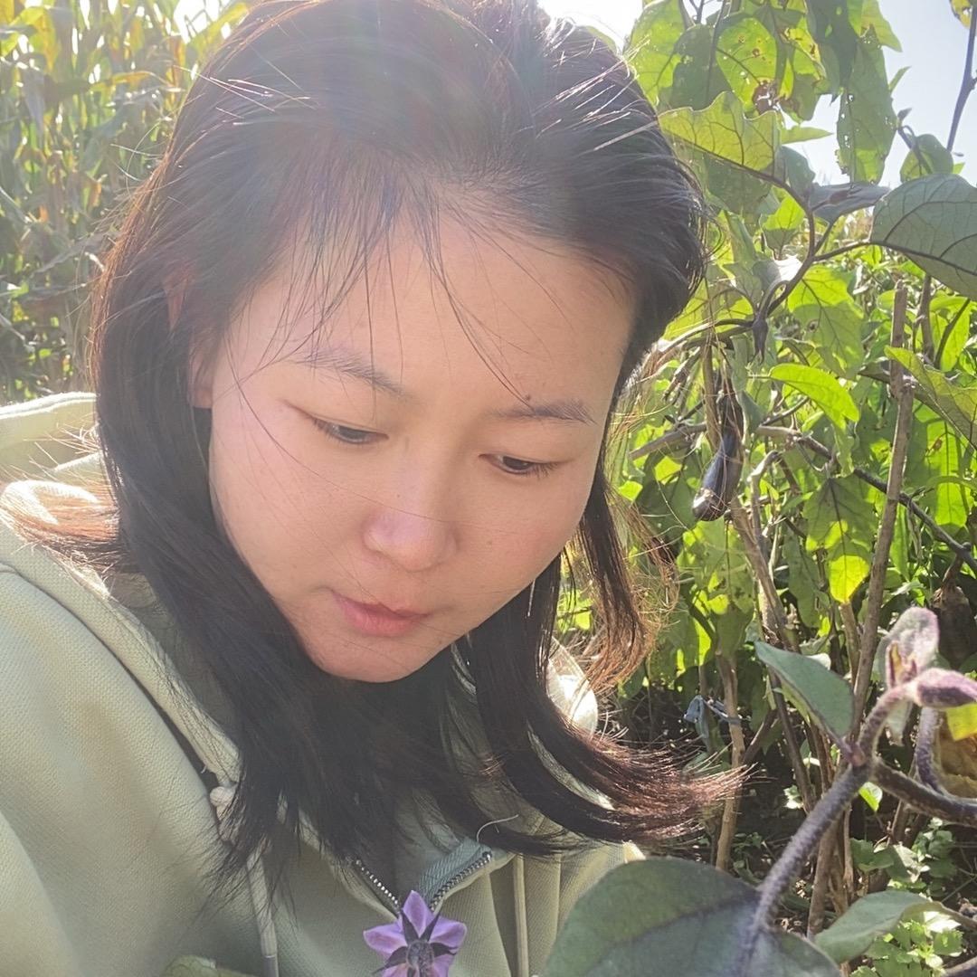小圆的东北乡村生活