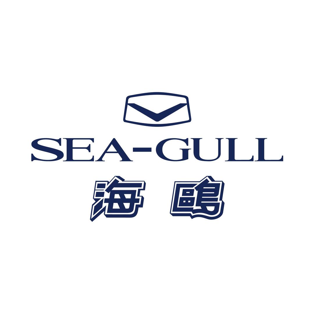 seagull海鸥手表