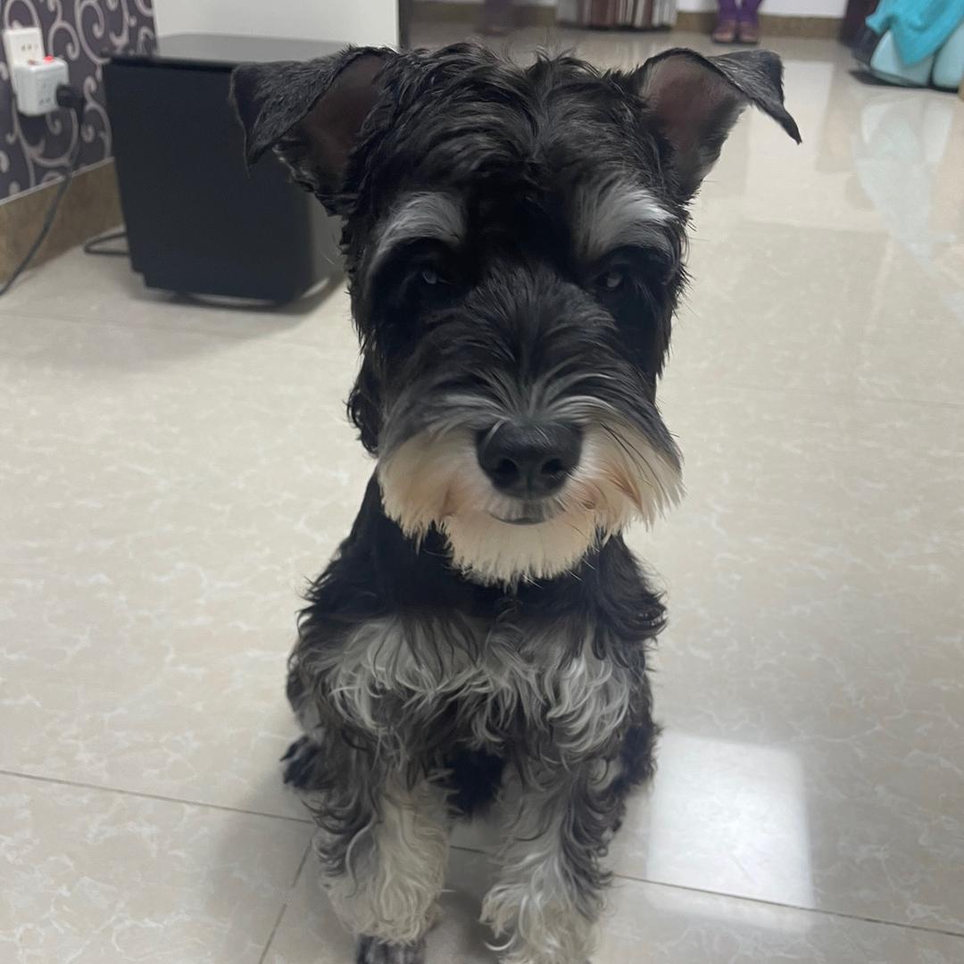 🌈妮可nicole💋