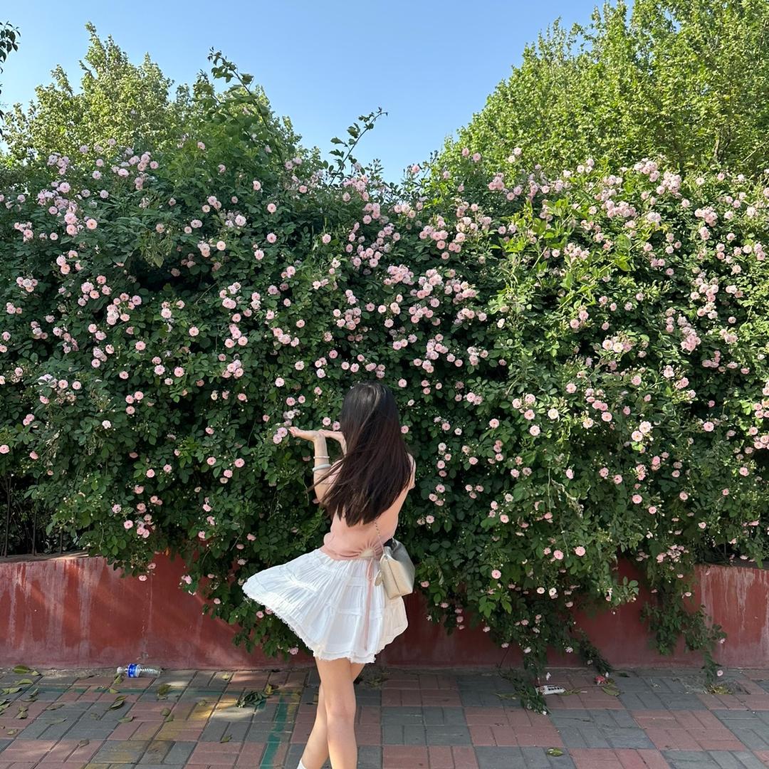小丸子👜